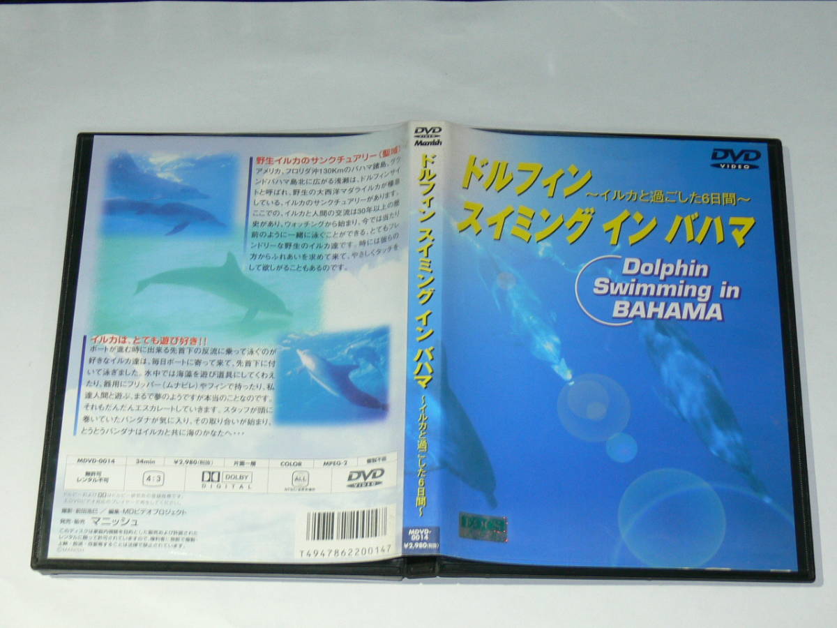 中古DVD　ドルフィン スイミング イン バハマ　イルカと過ごした6日間_画像3