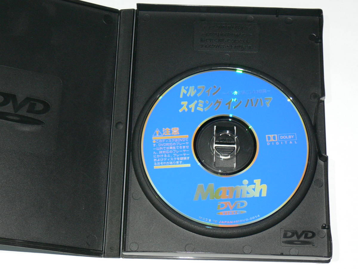 中古DVD　ドルフィン スイミング イン バハマ　イルカと過ごした6日間_画像4