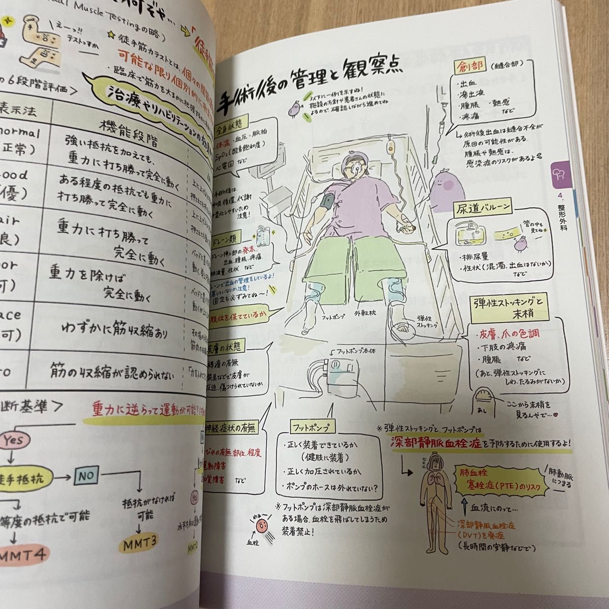 ファッションの ズボラな学生の看護実習本 ずぼかん nmef.com