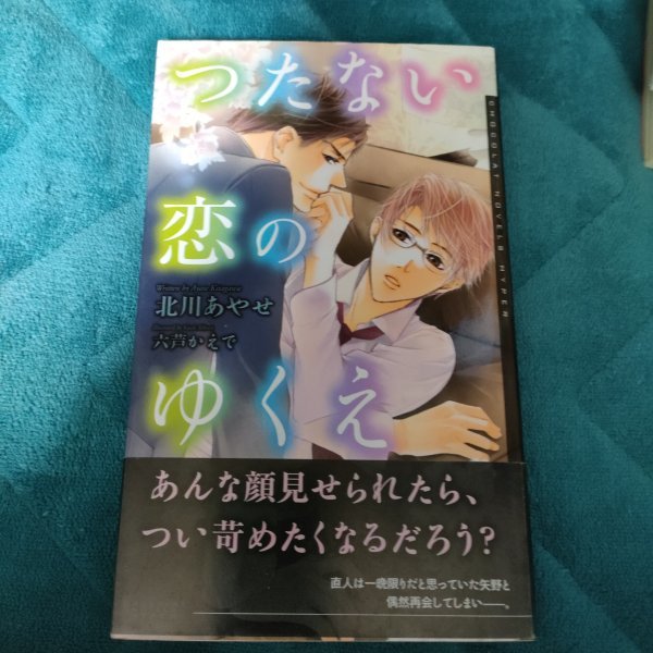 ☆北川あやせ　つたない恋のゆくえ　新書_画像1