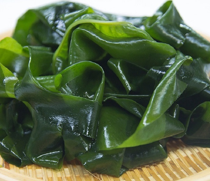 8[...... also ...! on quality!] Ehime prefecture production raw . tortoise 2kg [ high class gift Mother's Day Father's day Bon Festival gift present gift inside festival hand earth production wakame seaweed ]