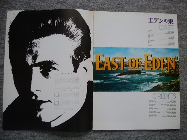 エデンの東、理由なき反抗 パンフレット エリア・カザン監督作品 ジェームズ・ディーン、ジュリー・ハリス、ナタリー・ウッドの画像3
