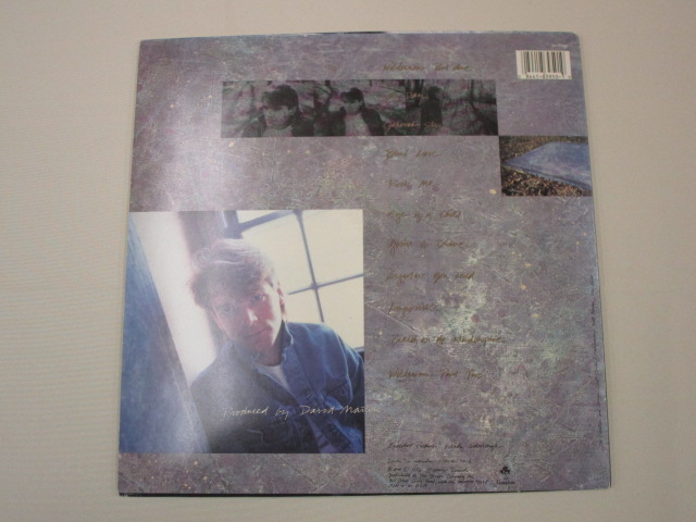 【LP/AOR】 DAVID MARTIN / BREATH ON THE WINDOW PANE (アメリカ盤）_画像6