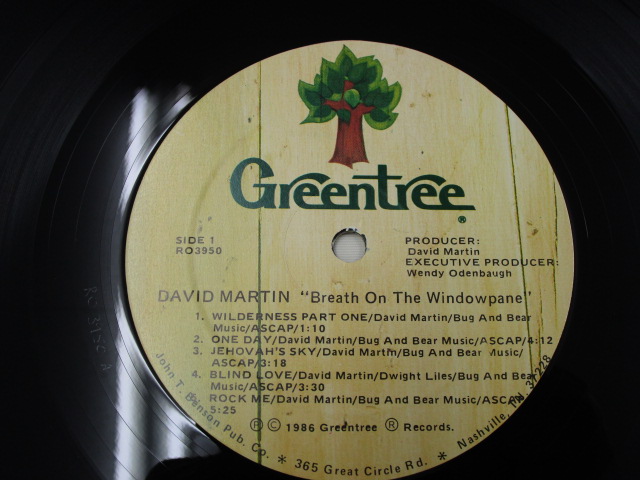 【LP/AOR】 DAVID MARTIN / BREATH ON THE WINDOW PANE (アメリカ盤）_画像4