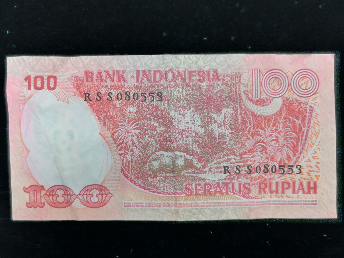 【外国紙幣/旧紙幣/古紙幣】インドネシア 100ルピア 管理291F_画像3