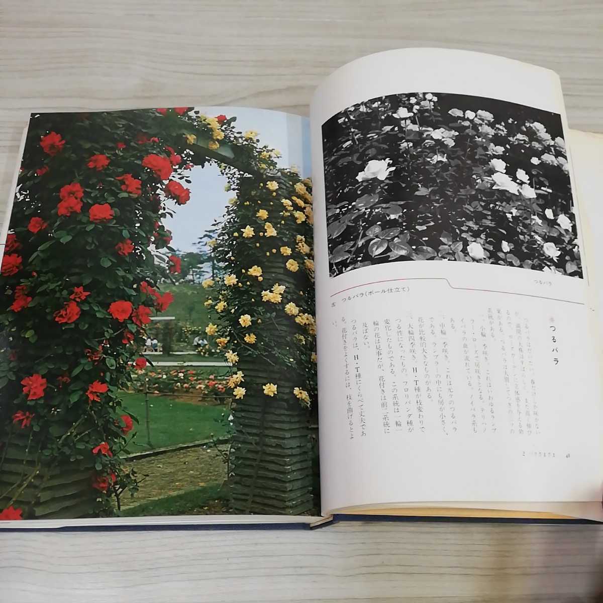 1-V color version world. rose Aoki regular . work Showa era 46 year 5 month 4 day the first version issue 1971 year Hainan bookstore rose rose gardening 