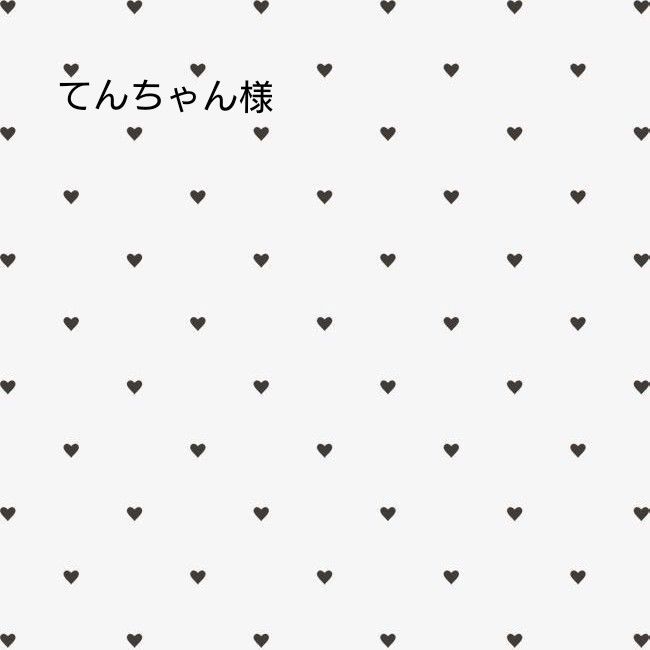 てんちゃん様専用|PayPayフリマ