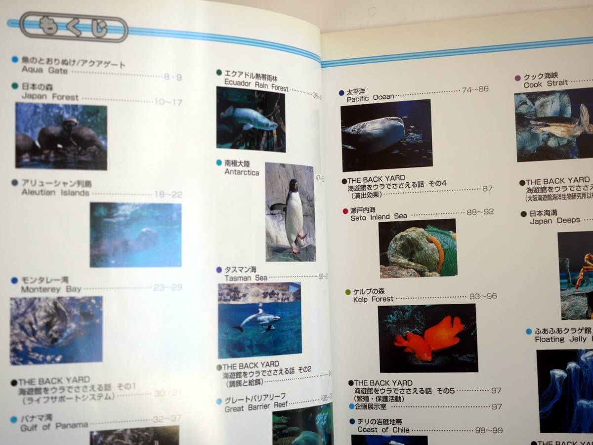 ■海遊館ガイドブック　2000年_画像3