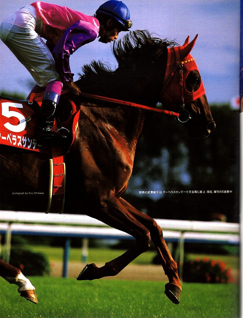 雑誌Sports Graphic Number 404(1996.11/7号)◆秋競馬G1プレビュー/天皇賞群雄・バブルガムフェロー/菊花賞激突：ダンスインザダーク◆_画像5