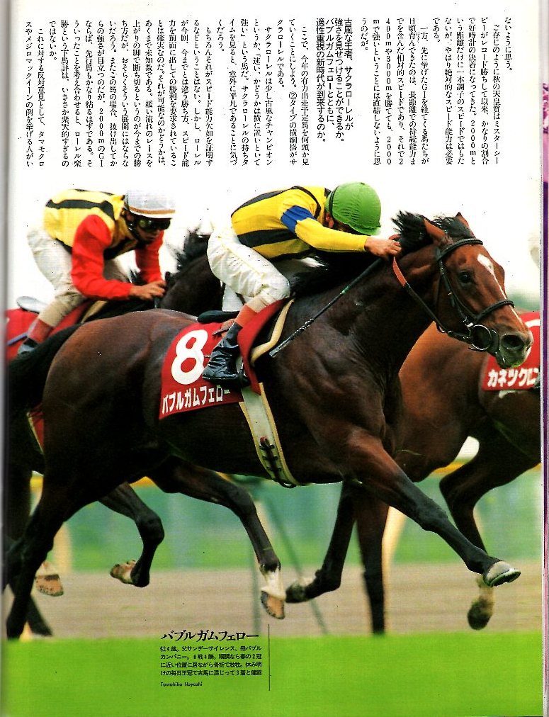 雑誌Sports Graphic Number 404(1996.11/7号)◆秋競馬G1プレビュー/天皇賞群雄・バブルガムフェロー/菊花賞激突：ダンスインザダーク◆_画像7