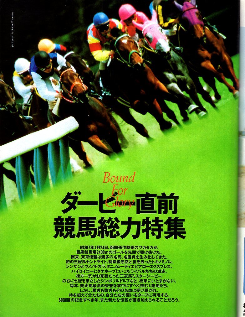 雑誌Sports Graphic Number 316(1993.6/5号)★ダービー直前競馬総力特集/岡部幸雄/ウィニングチケット／ビワハヤヒデ/対談:武豊/福永洋一★