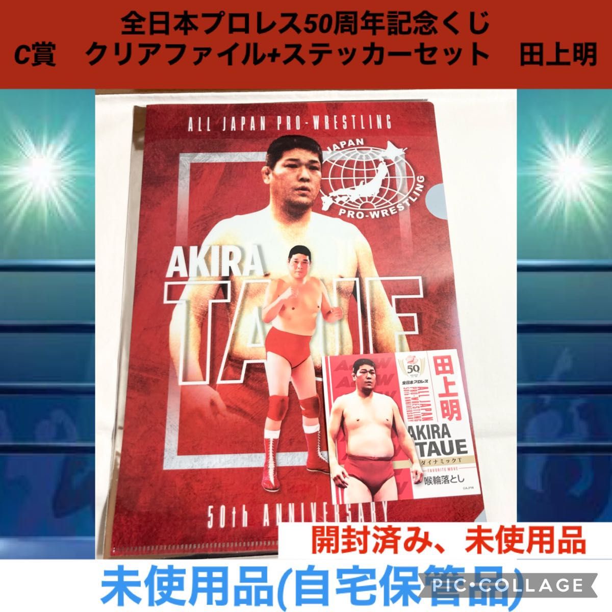 全日本プロレスくじ 50周年記念 C賞 クリアファイル シール 田上明