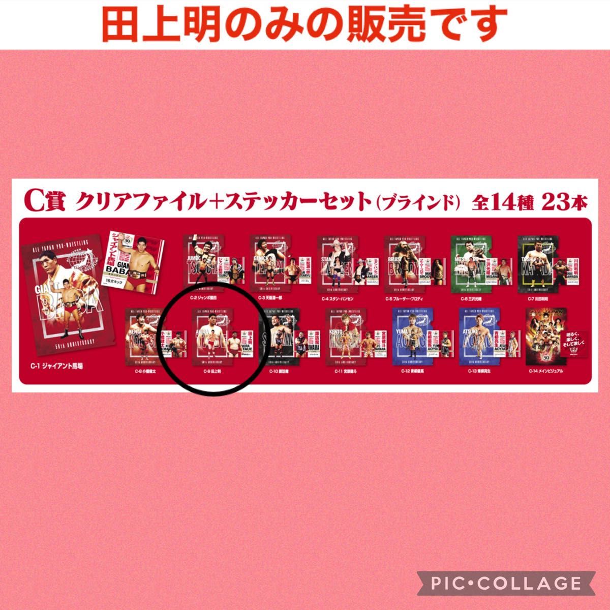 全日本プロレスくじ　50周年記念　C賞　クリアファイル　ステッカー　田上明　全日本プロレス　プロレス　プロレスくじ