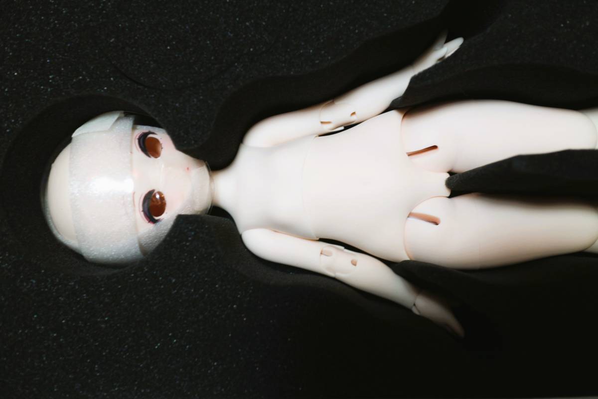 Dollybird 33 PUYOODOLL KUMAKO 「Rose」 フルセット欠品なし 新品未
