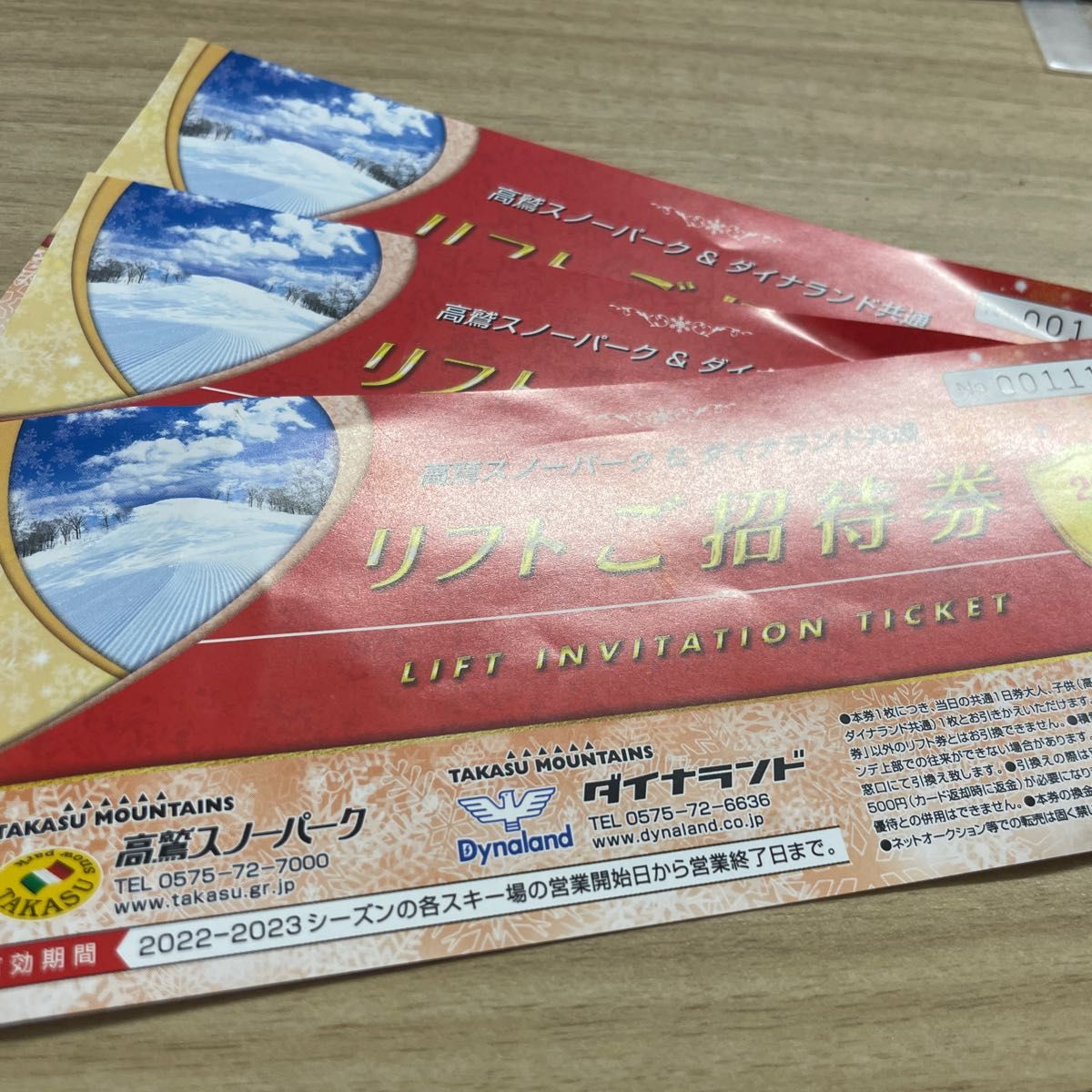 高鷲スノーパーク&ダイナランド 共通 リフトご招待券 3枚セット