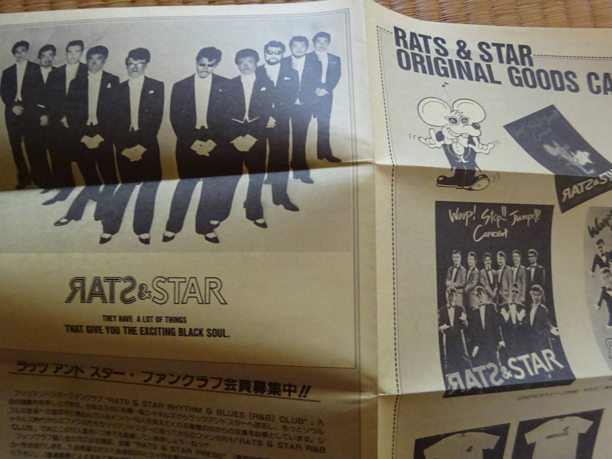 ラッツ&スター ファンクラブ会報 RATS&STAR シャネルズ 鈴木 ラッツ&スター ファンクラブ会報 RATS&STAR シャネルズ 鈴木
