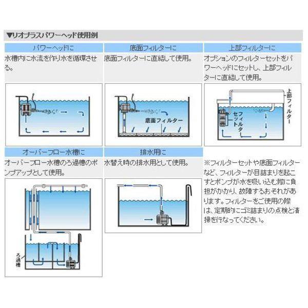 カミハタ リオプラスパワーヘッド Rio+180 60Hz_画像4