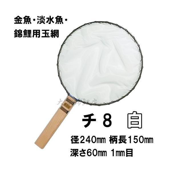 pine rice field fishing tackle shop selection another net chi-8 white diameter 24cm pattern length 15cm 1mm eyes goldfish * freshwater fish * colored carp for sphere net 