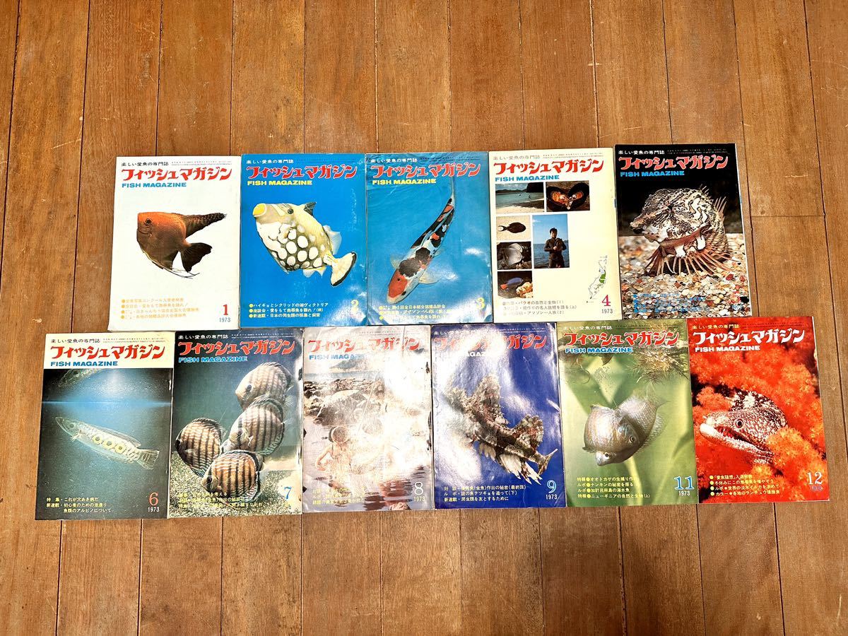 希少 フィッシュマガジン 11巻セット 1973年 昭和48年 FISH MAGAZINE 緑書房 趣味 勉強 研究資料 学術 コレクションに
