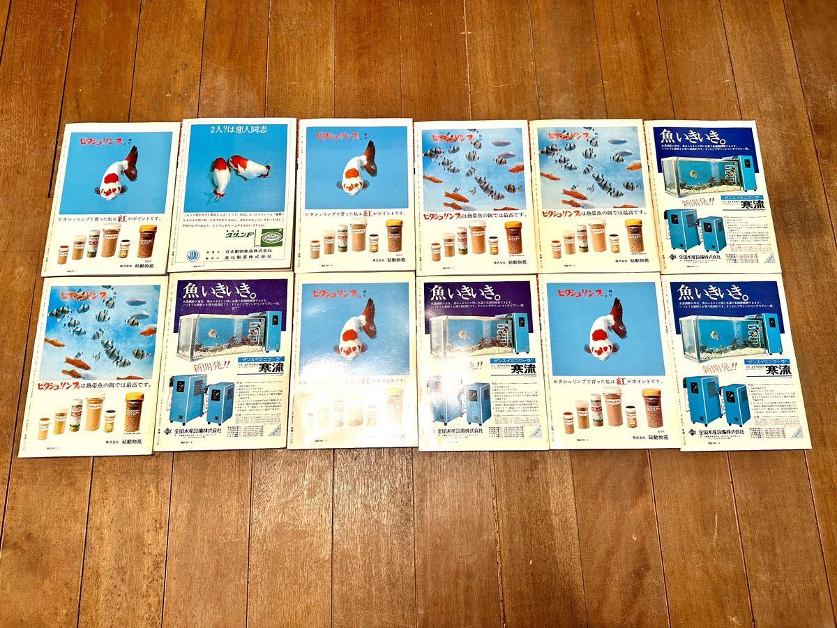  rare hard-to-find fish magazine all 12 volume complete set 1975 year Showa era 50 year FISH MAGAZINE green bookstore hobby . a little over research materials .. collection 
