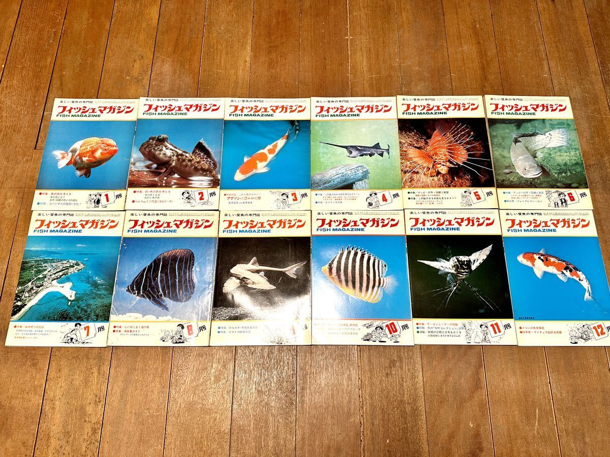  rare hard-to-find fish magazine all 12 volume complete set 1975 year Showa era 50 year FISH MAGAZINE green bookstore hobby . a little over research materials .. collection 