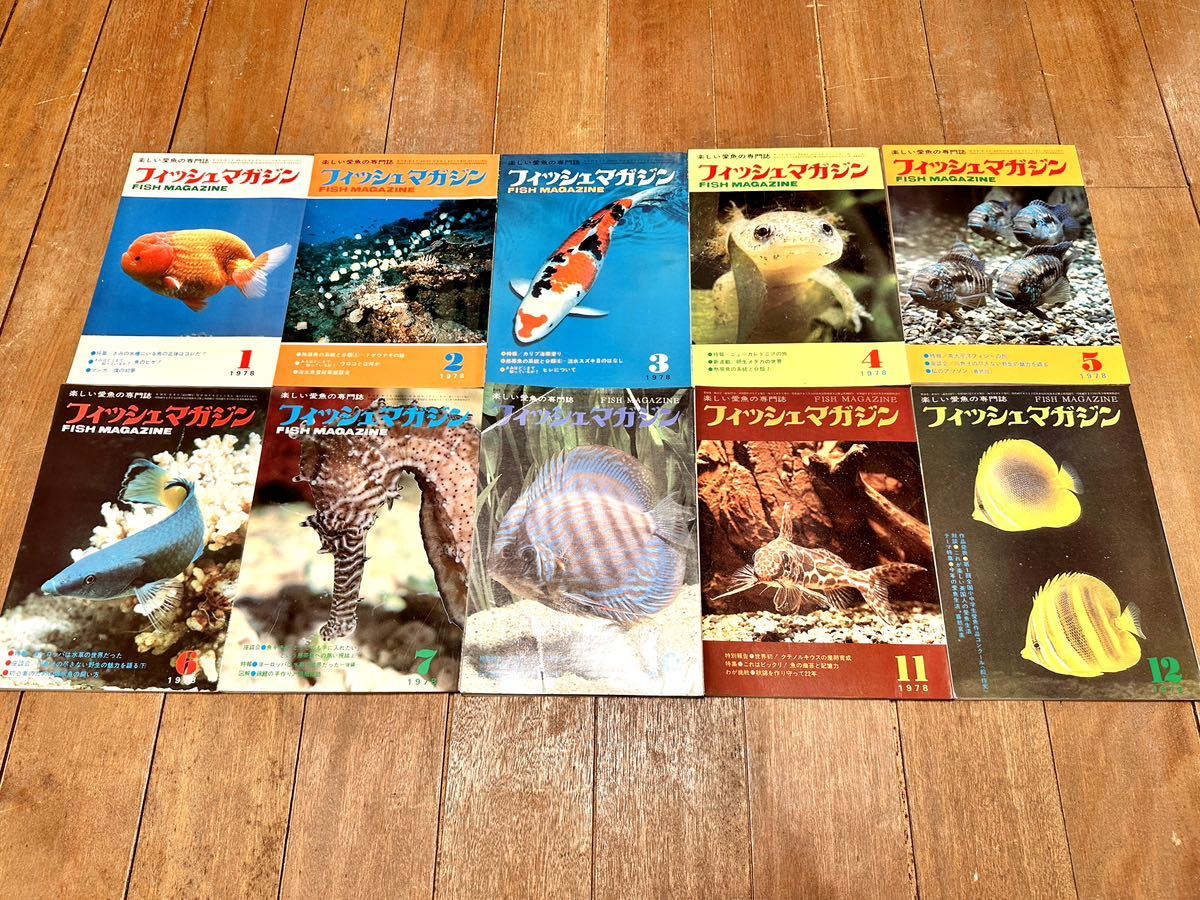 希少 フィッシュマガジン 10巻セット 1978年 昭和53年 FISH MAGAZINE 緑書房 趣味 勉強 研究資料 学術 コレクションに
