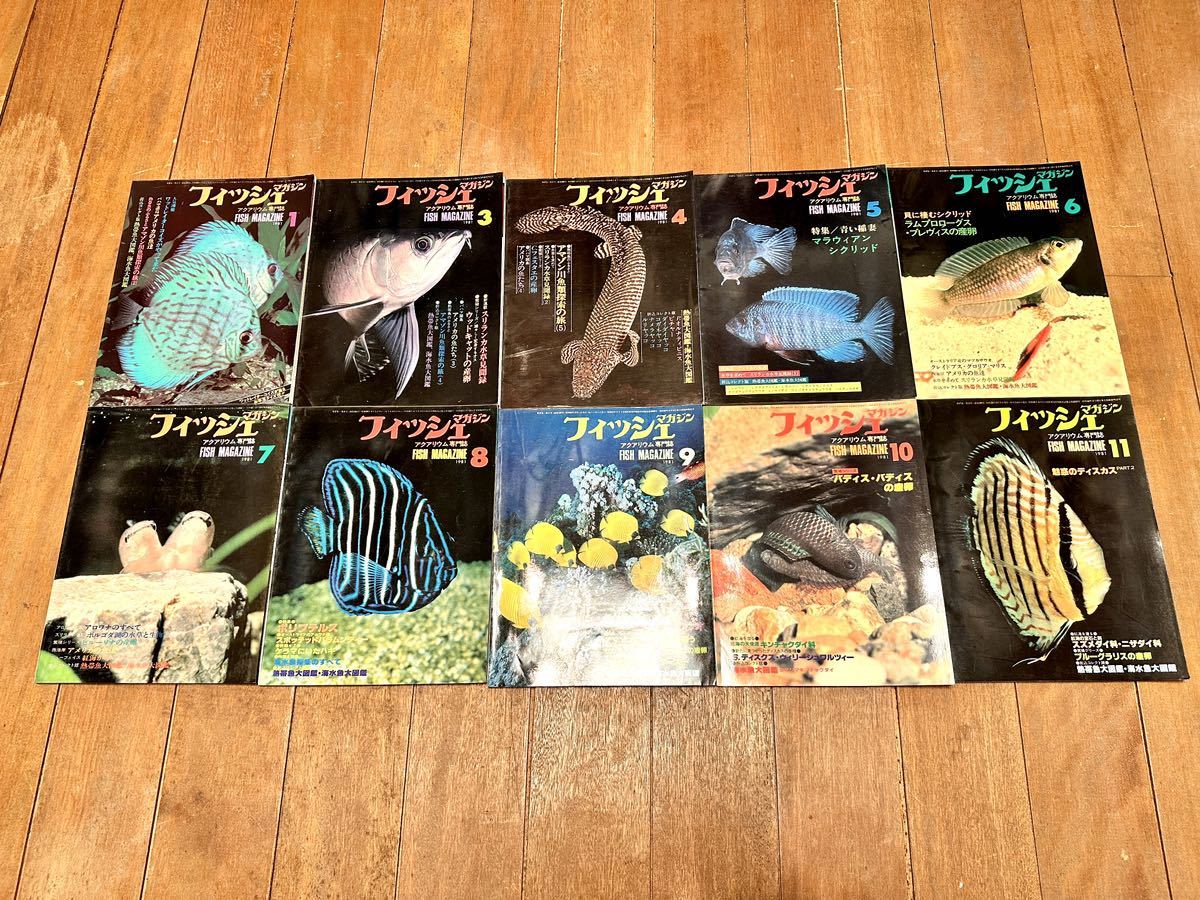 希少 フィッシュマガジン 10巻セット 1981年 昭和56年 FISH MAGAZINE 緑書房 趣味 勉強 研究資料 学術 コレクションに