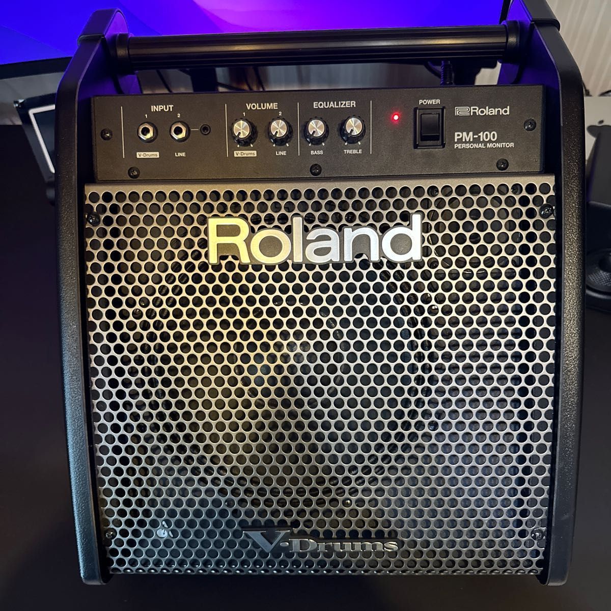 メール便全国送料無料 Roland PM-100 PM-100 モニタースピーカー 人気