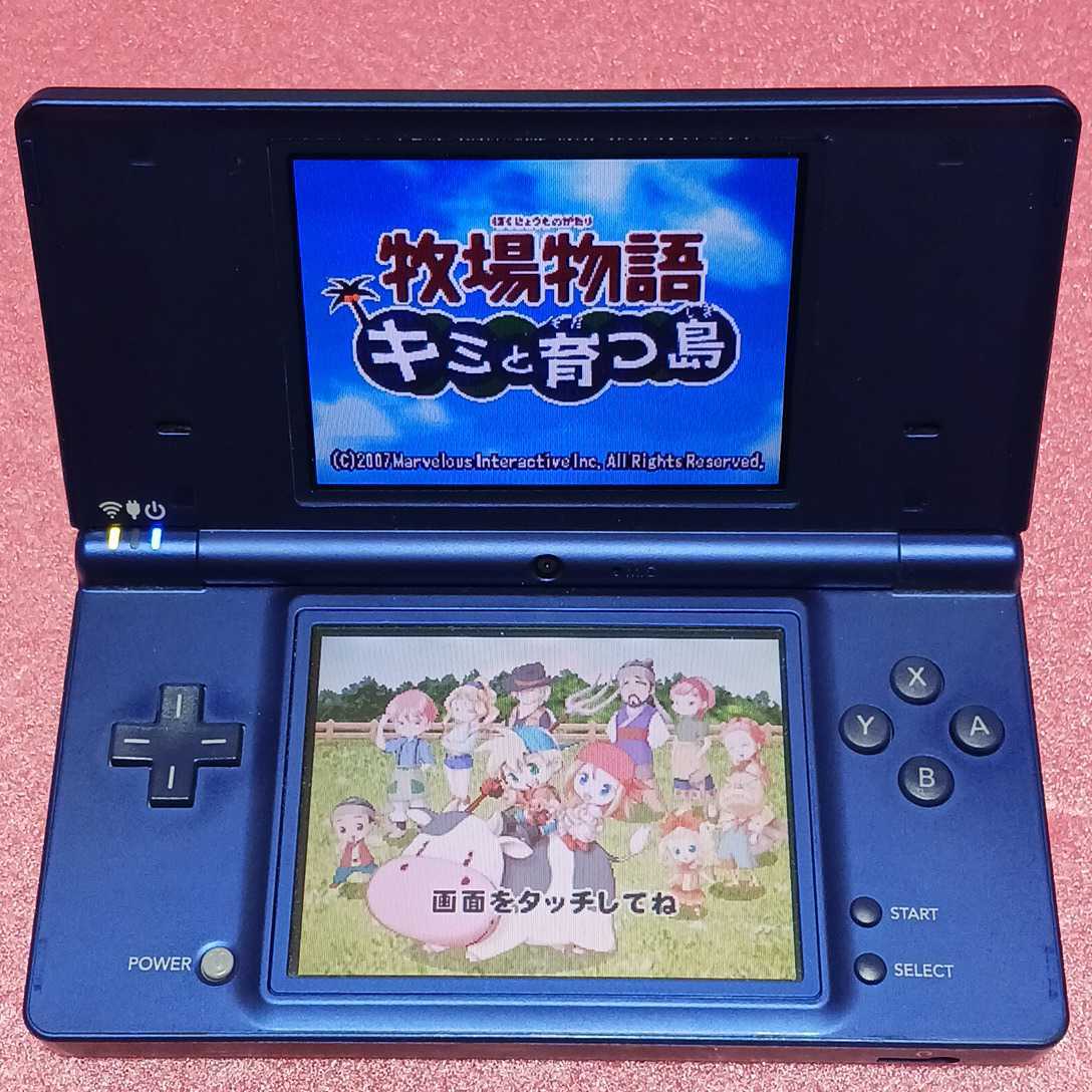Nintendo DS 牧場物語キミと育つ島 【管理】Y3b53