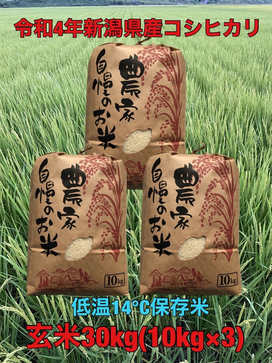 当季大流行 令和4年新潟県長岡産コシヒカリ玄米20kg×3袋 general-bond