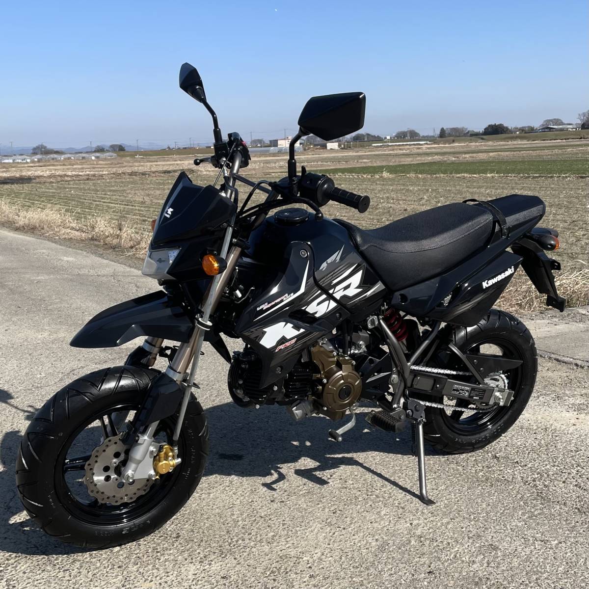 カワサキ KSR110 希少 低走行 424㎞ 実動 美車 スズキヤマハホンダ検)CB NS TZ KDX DT TDR モンキー マグナ ゴリラ JAZZ ダックス PRO _画像6