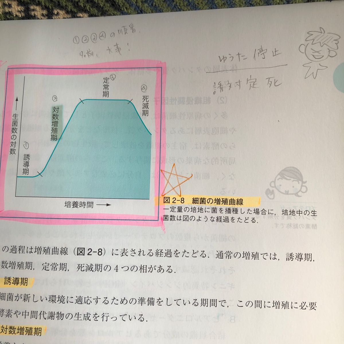 歯科衛生士 教科書 教本 問題集 国家試験 参考書 まとめて|PayPayフリマ