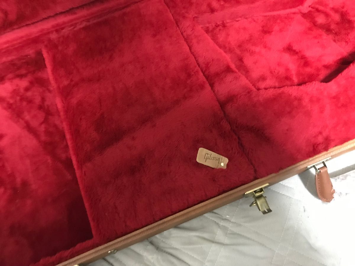 Gibson ギブソンハードケース エクスプローラー | noonanwaste.com