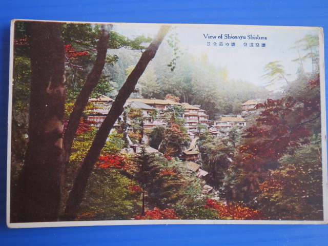 戦前絵葉書（未使用）栃木県　塩原温泉_画像8