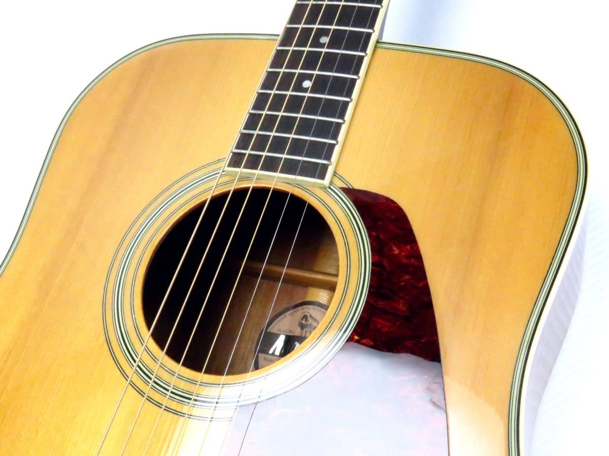 Morris アコースティックギター MD－512 (縦ロゴ) www