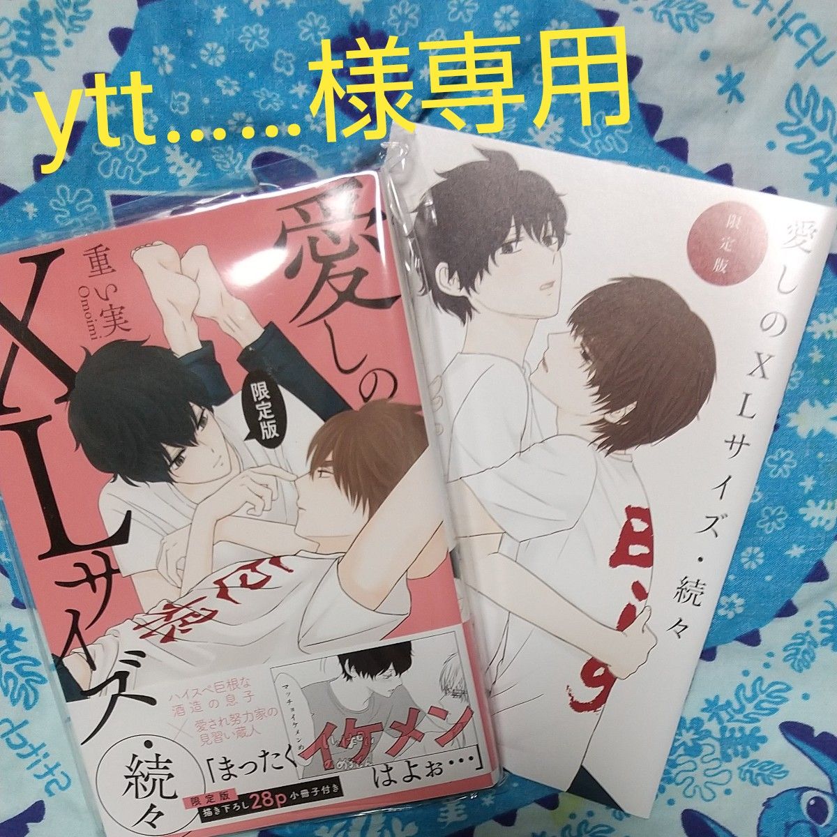 開店記念セール! Y.T.Tさま専用 本体 mail.lagoa.pb.gov.br