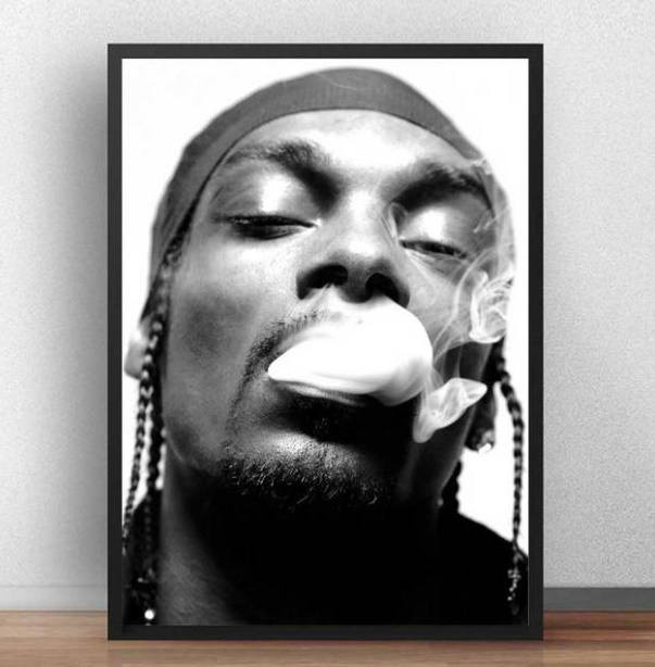  C2487 スヌープ・ドッグ Snoop Dogg ヒップホップ キャンバスアートポスター 50×70cm イラスト インテリア 雑貨 海外製 枠なし D_画像1