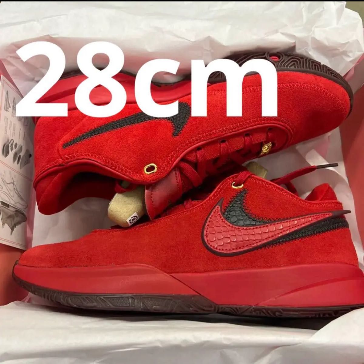 28cm US10 Nike LeBron 20 "Liverpool" XX ナイキ レブロン リバプール バッシュ 最新作