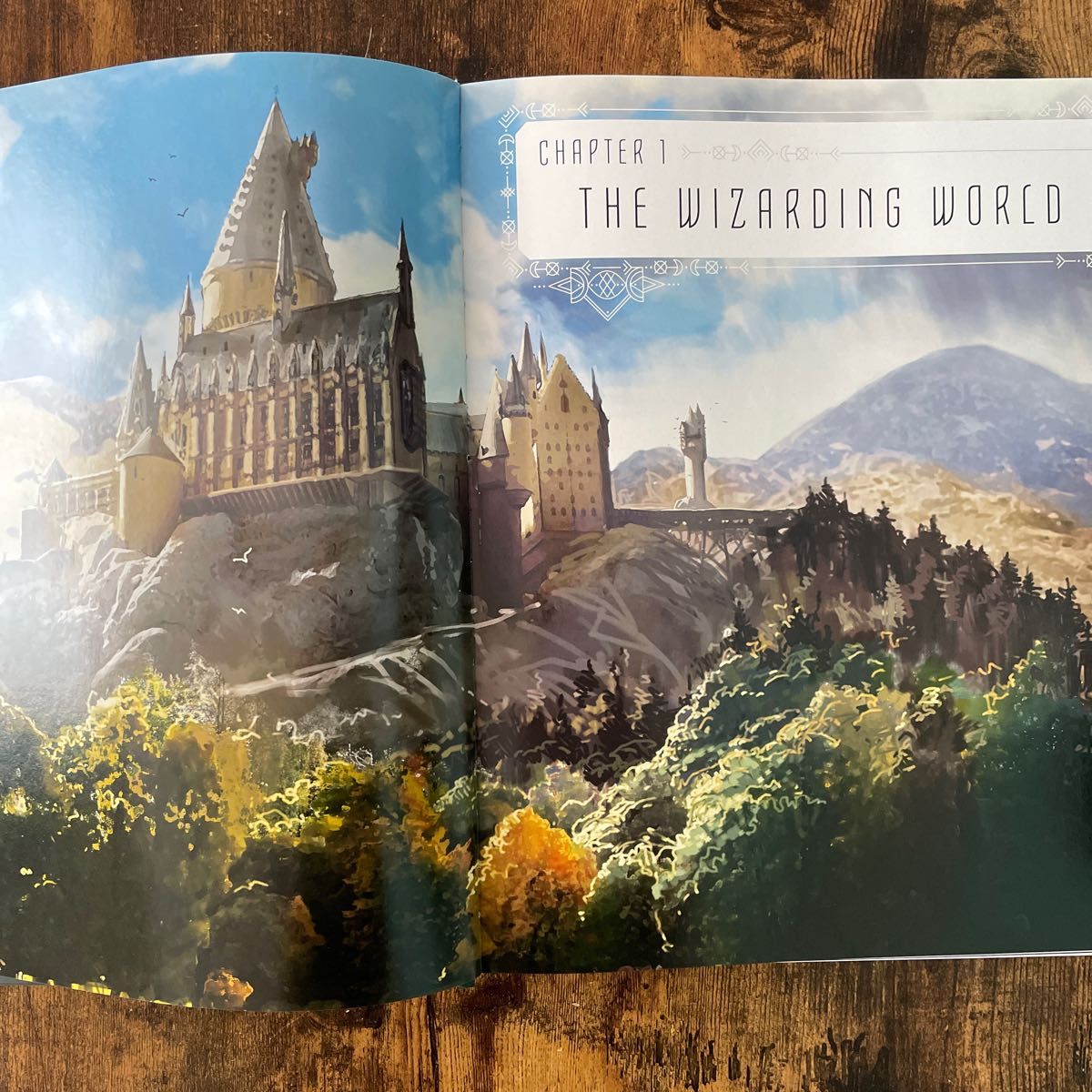 The Art of Harry Potter アート本 ハリーポッター The Art of Harry Potter アート本 ハリーポッター