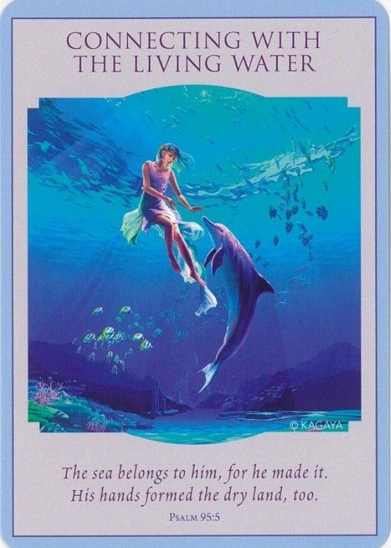 正規品・未開封】ラブ & ライトディバインガイダンスカード 日本 正規品・未開封】ラブ & ライトディバインガイダンスカード 日本