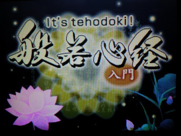 DS　it's tehodoki! 般若心経入門+書き込み式「般若心経」練習帳DS　お買得２本セット(ソフトのみ+説明書付)_画像3