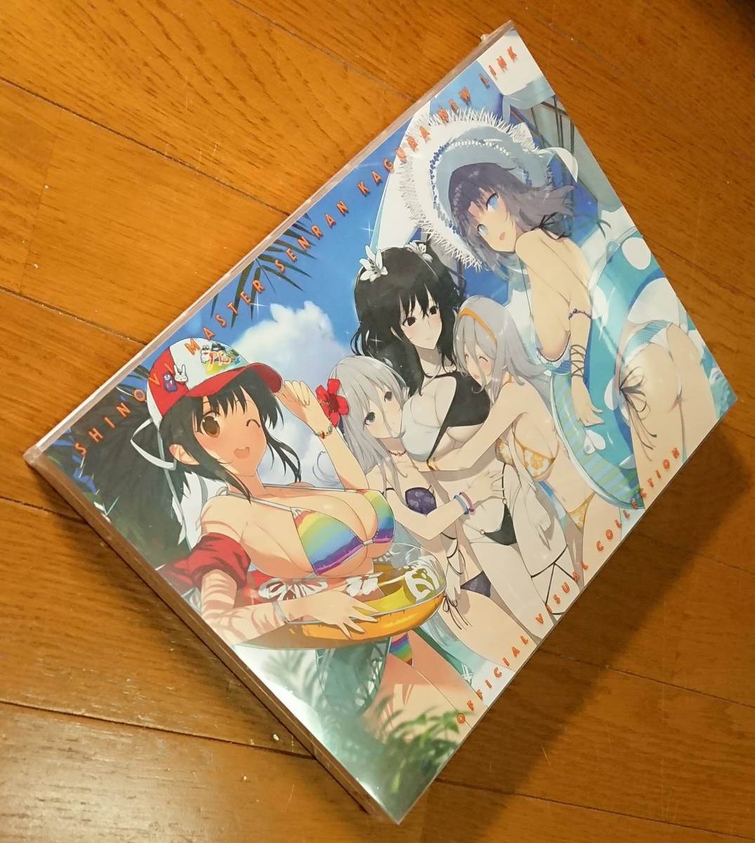 お中元 閃乱カグラ 閃乱カグラTEN シノビマスター 公式画集 ビジュアル