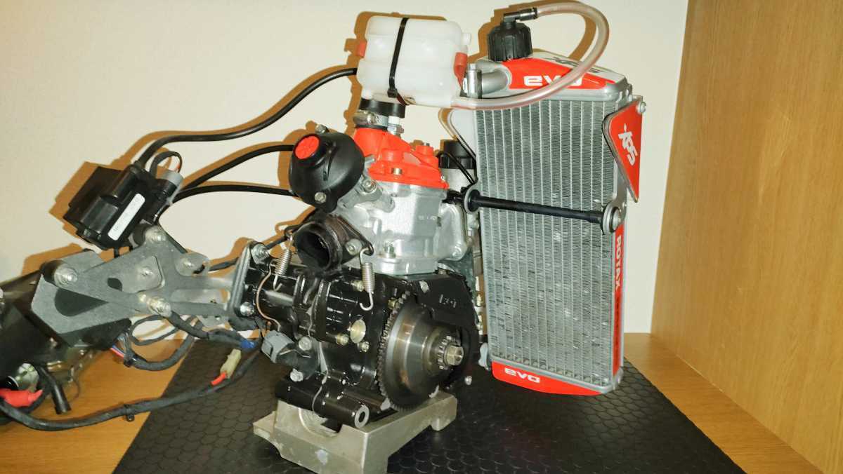 ROTAX MAX125 EVO シニア|スポーツ、レジャー ROTAX MAX125 EVO シニア|スポーツ、レジャー
