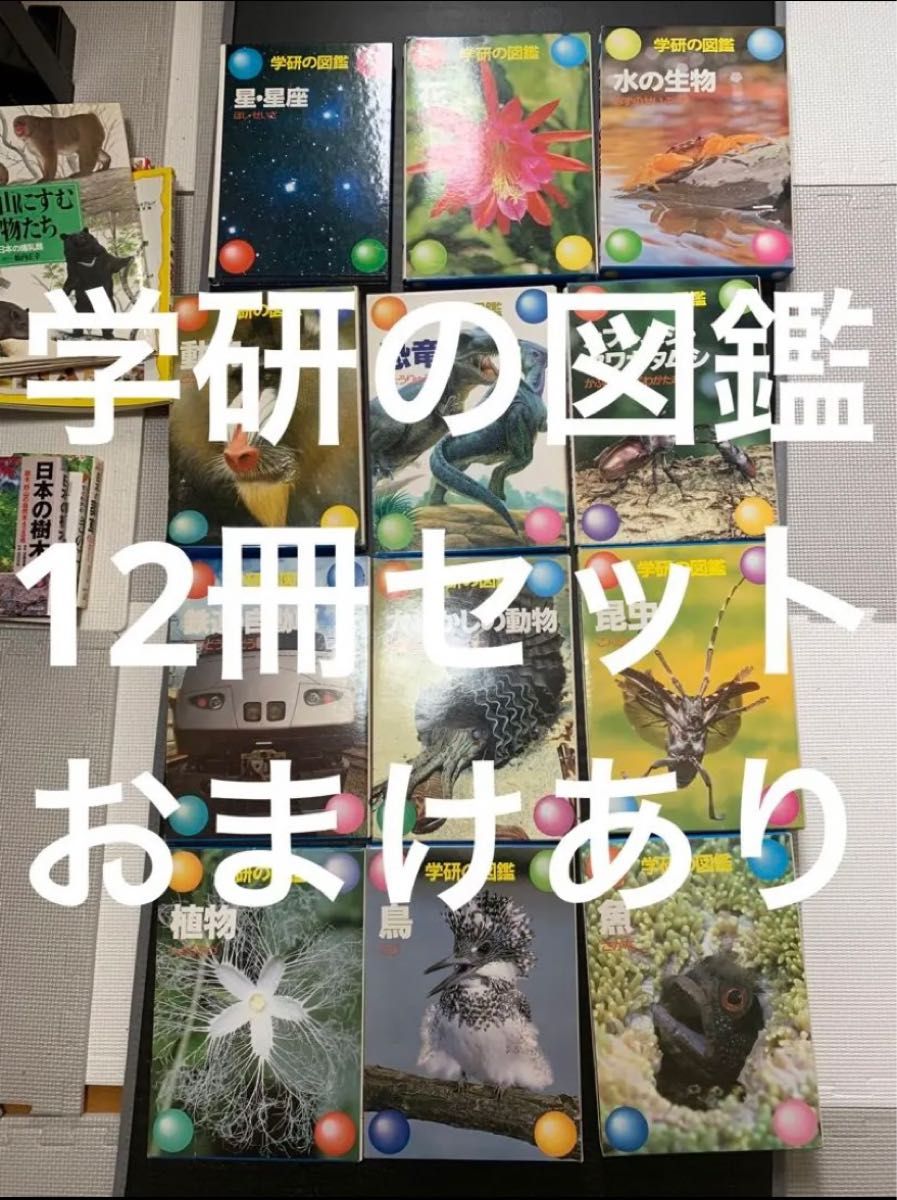 国内外の人気 図鑑12冊セットバラ売り不可 絵本 - butgod.net