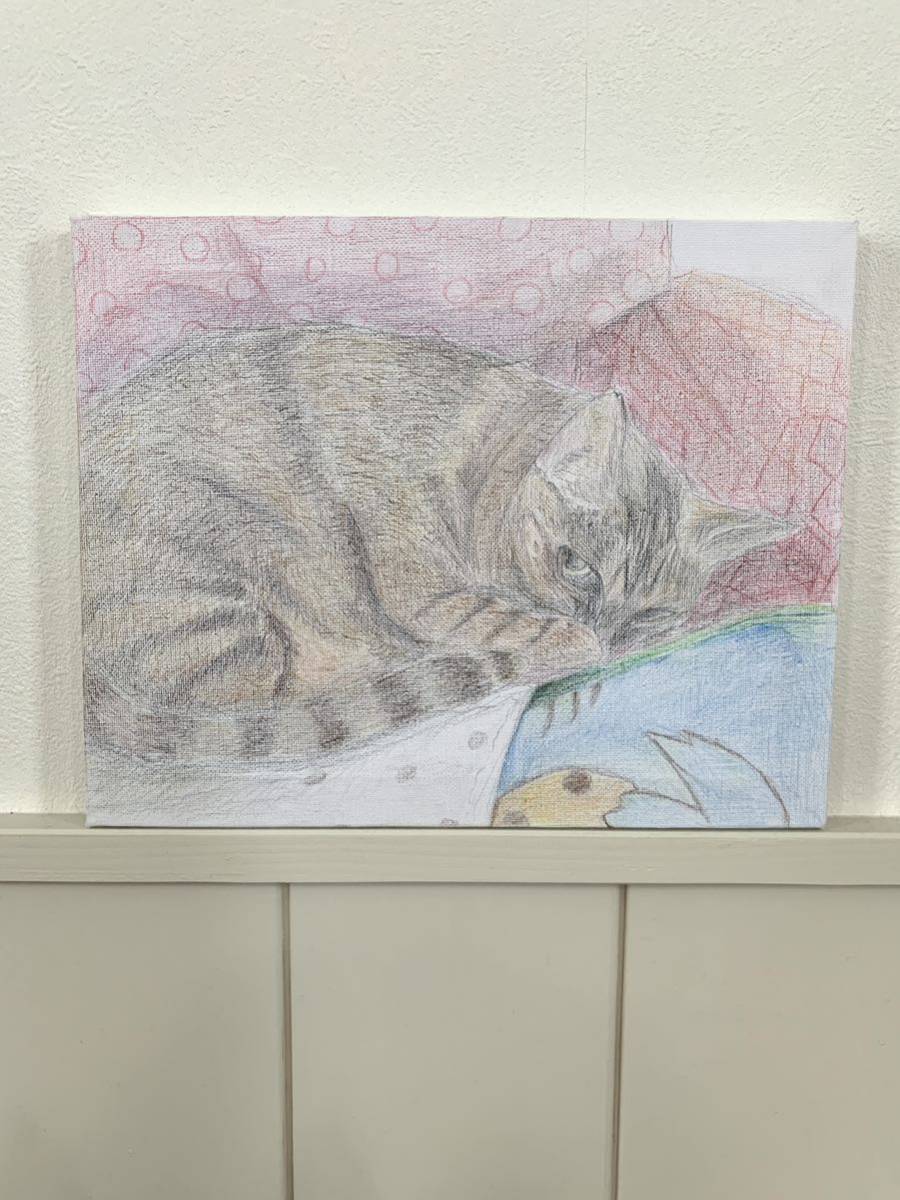 . picture cat canvas hand-drawn illustrations illustration cat. . color pencil . genuine work fine art original picture handwriting picture house art animal picture picture . cat te sun element .