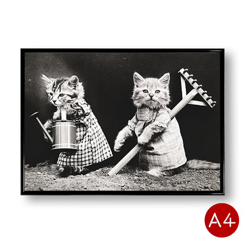 A4 poster animal monochrome 6 point set mat coated paper Monotone interior animal photograph art poster Vintage cat * dog 