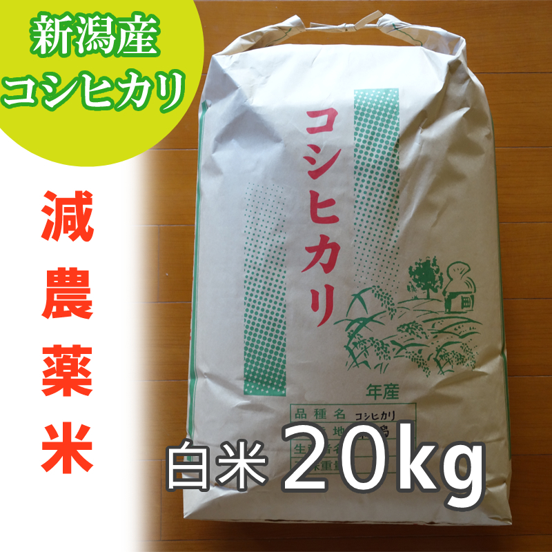 新米 棚田 幻のハイブリッド 大粒 酵素米 お米 玄米