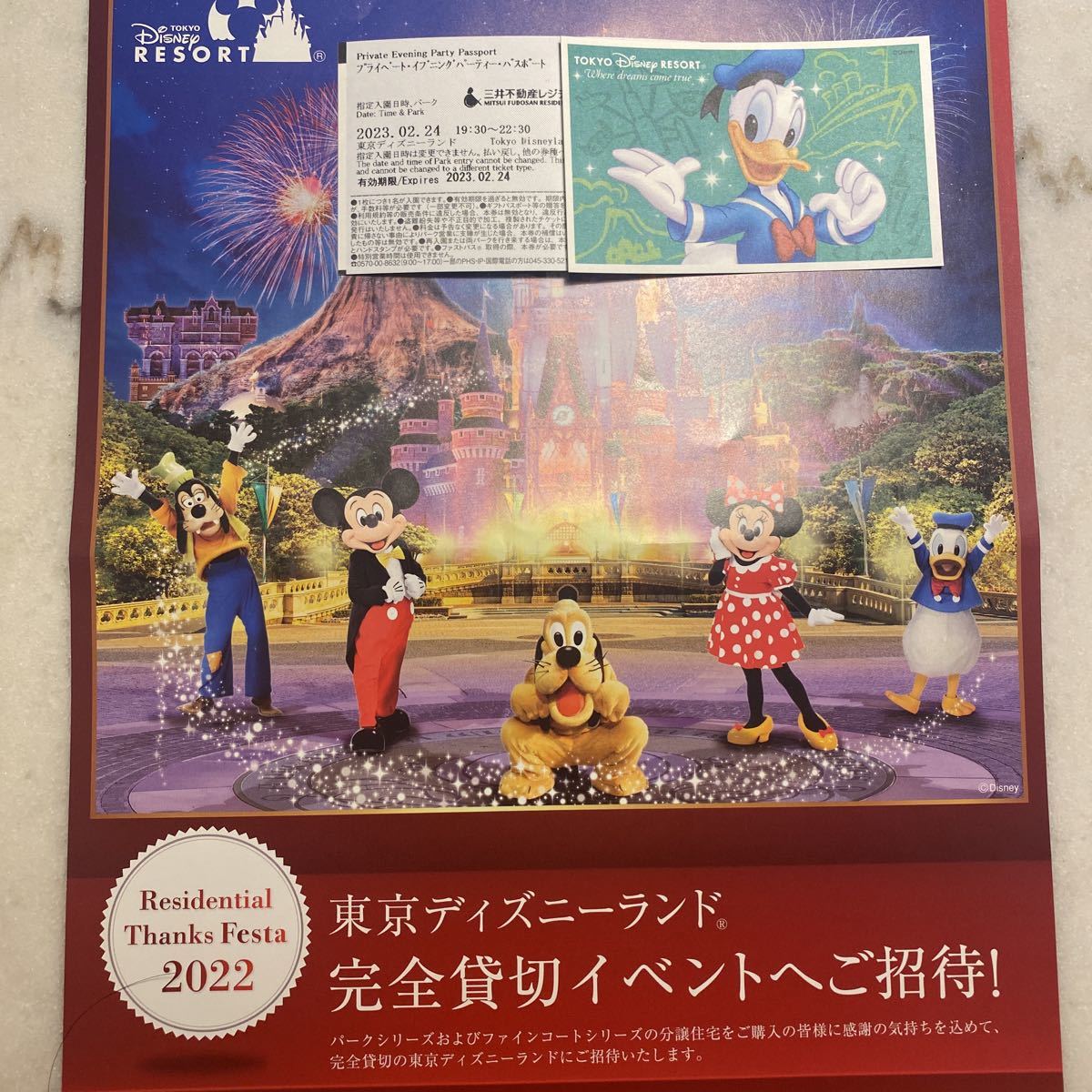 爆買い!】 - 東京ディズニーランド貸切イベント 2/24 貸切 19:30〜22