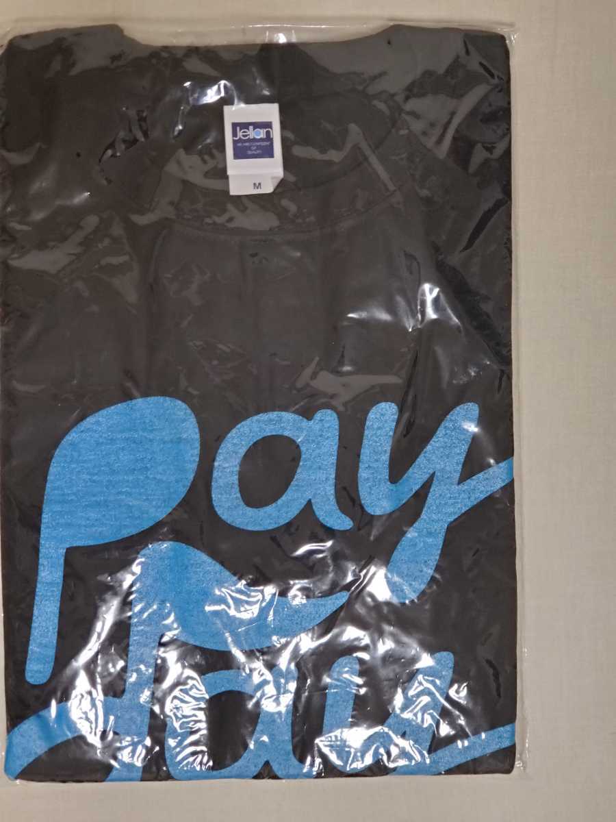 THE HELLO WORKS PAYDAY T-shirt M size black Schadaraparr 