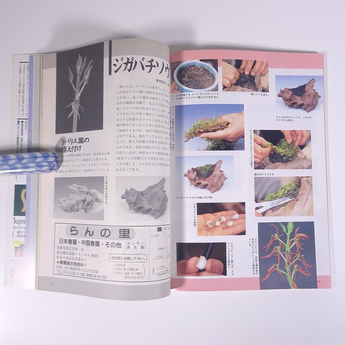  nature .. raw Ran No.112 1995/4 new plan publish department magazine gardening gardening plant orchid Ran special collection * shrimp ne. base knowledge spring. .. change . structure shape. fun 